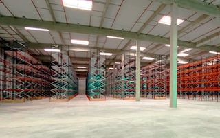 Téréva y Mecalux: relación de confianza, resultado exitoso Téréva y Mecalux: relación de confianza, resultado exitoso